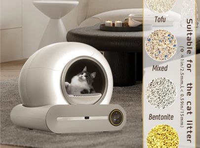 The Evolution of Cat Litter: From Traditional to Smart